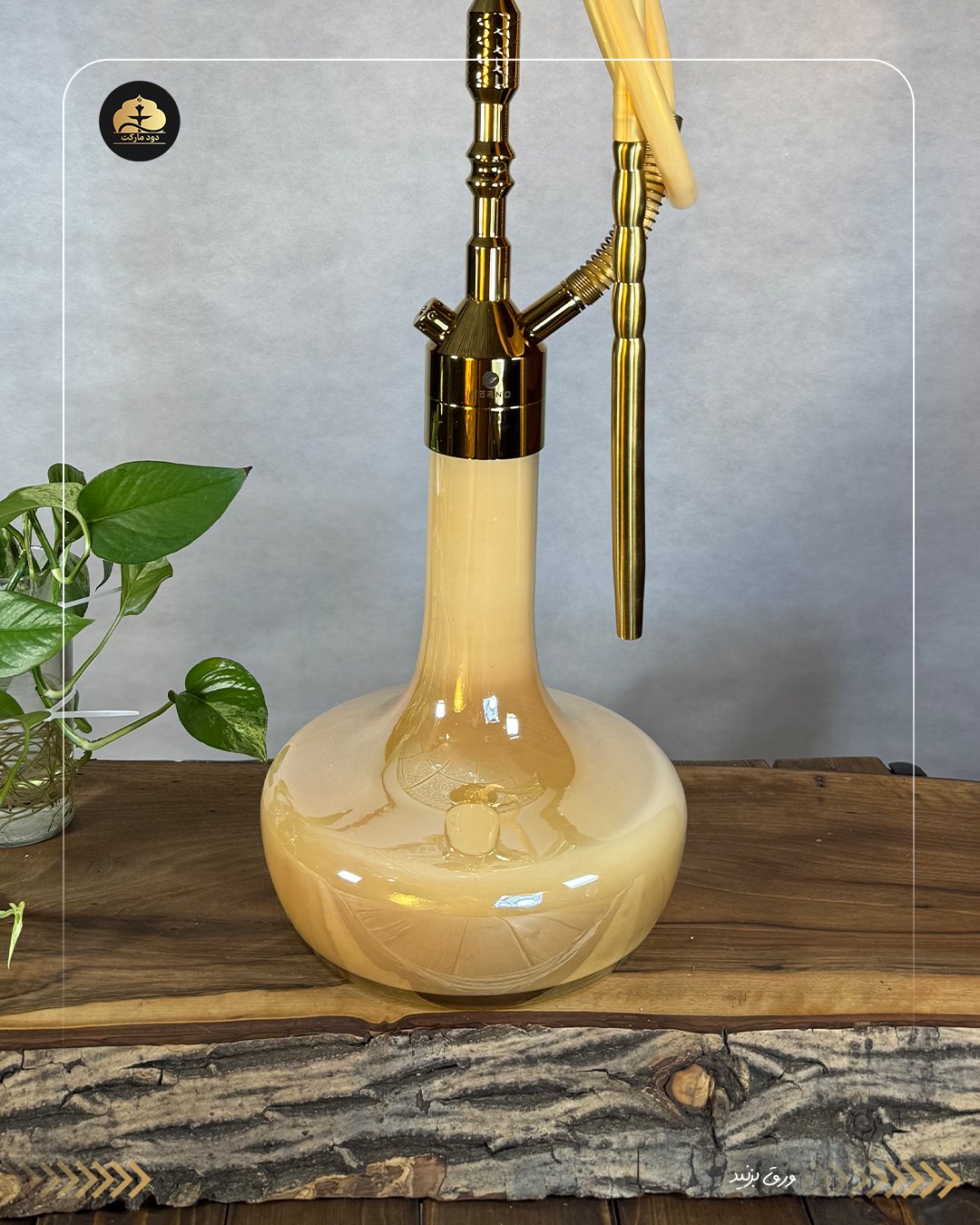 قلیان کرنو مونیخ طلایی شیشه نسکافه ای { اصل + 3 سال گارانتی }