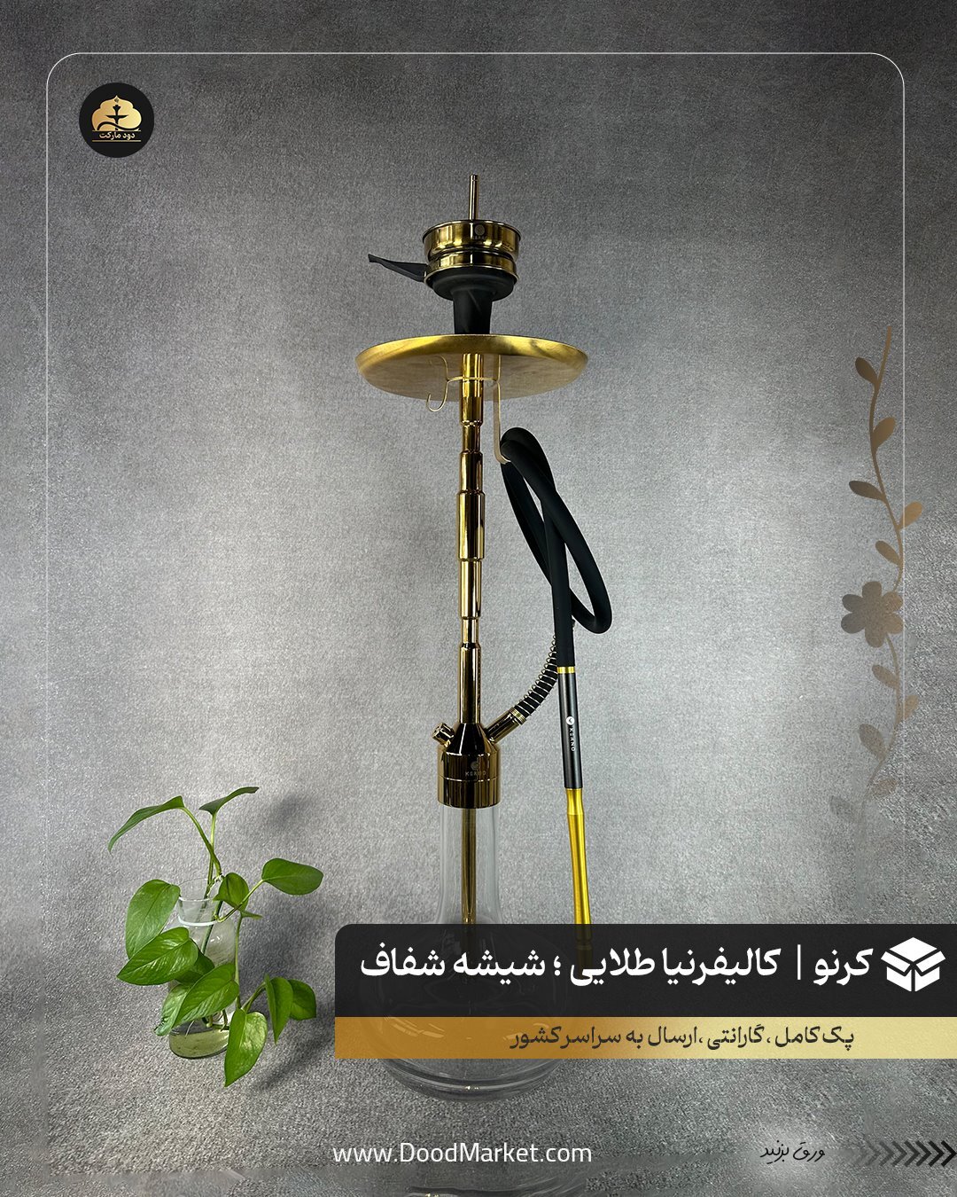  قلیان کرنو کالیفرنیا طلایی با شیشه ساده شفاف | {اصل + 3 سال گارانتی} 