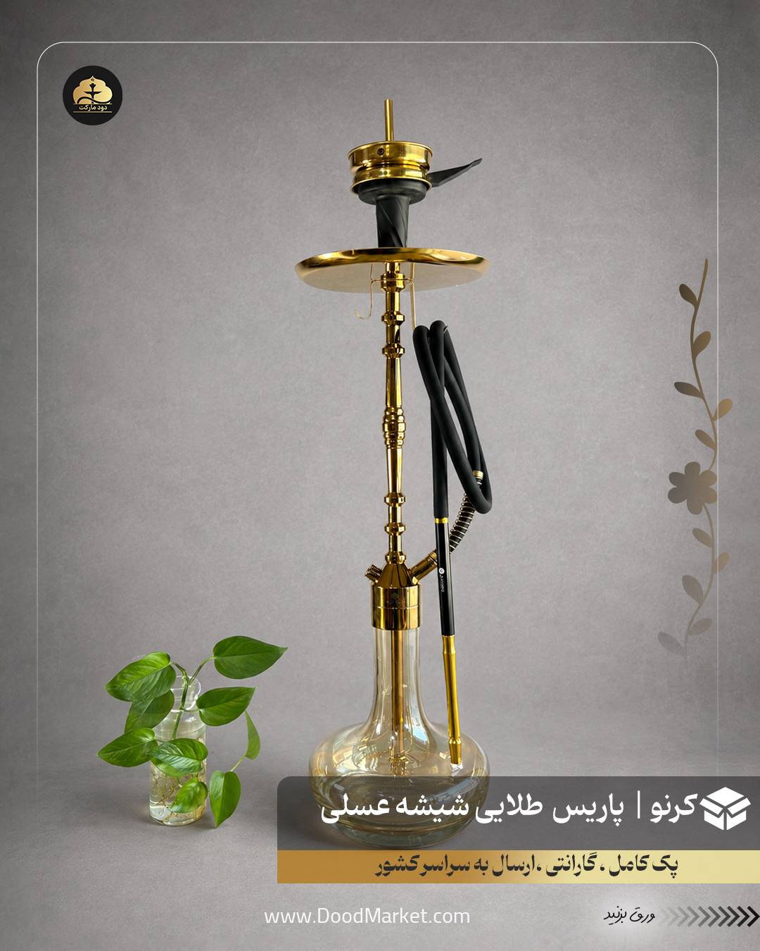 قلیان کرنو پاریس طلایی با شیشه ساده عسلی | {اصل + 3 سال گارانتی}