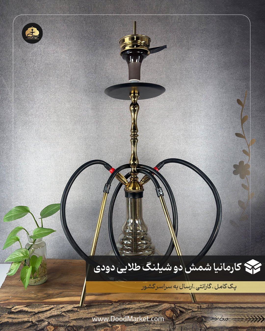  کارمانیا دو شیلنگ تنه شمش طلایی | {اصل + 12 ماه گارانتی } 